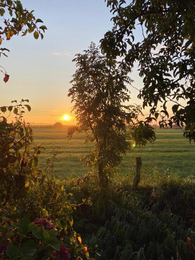 Apartmán Hps Koje Dornum Exteriér fotografie